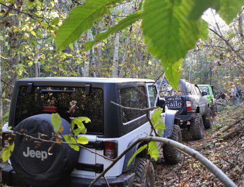 Escursione In Jeep